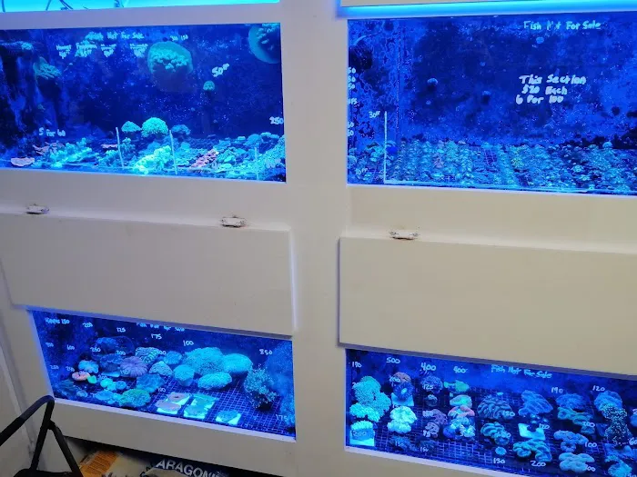Aquarium Customs, INC. 9