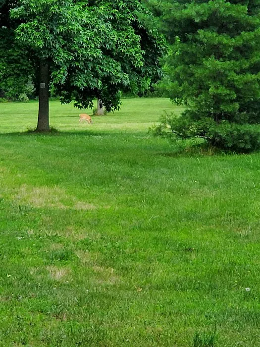 Thompson Grove Park 1