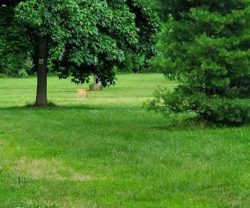 Thompson Grove Park