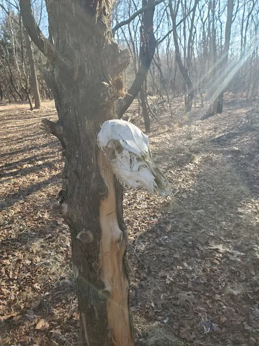 Thompson Grove Park 6