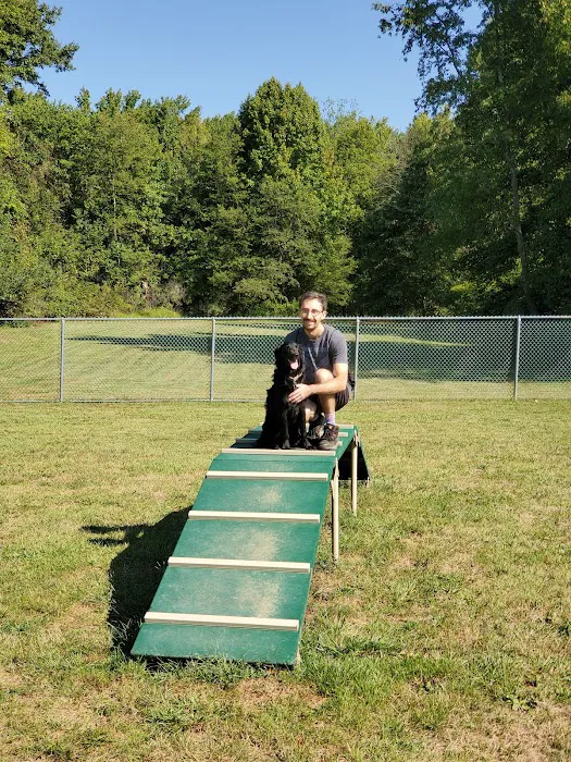 Dog Park 5