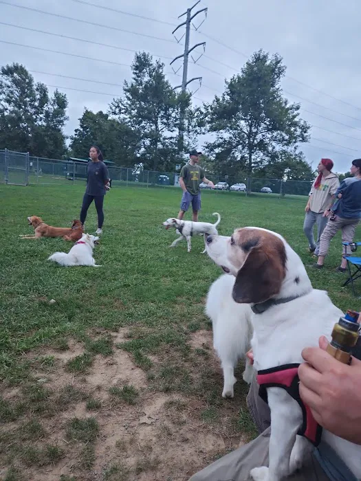 Dog Park 9