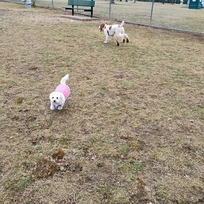 Dog Park 10