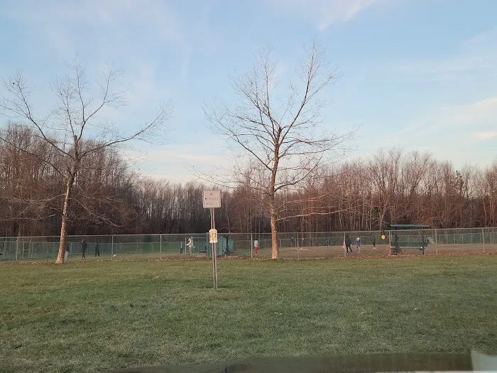 Dog Park 1