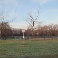 Dog Park ico