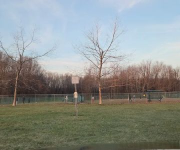 Dog Park