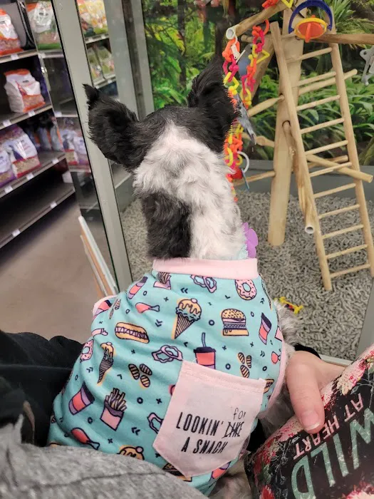 Petco 10