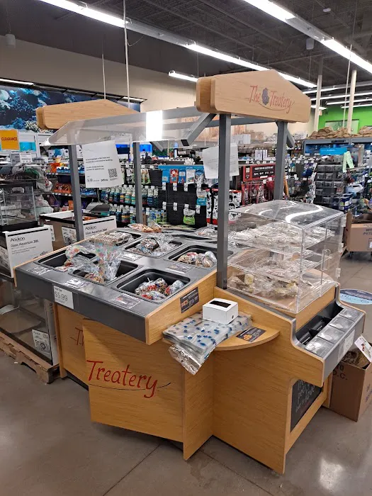 Petco 6