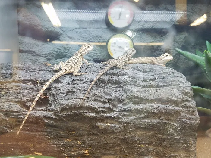 Petco 8