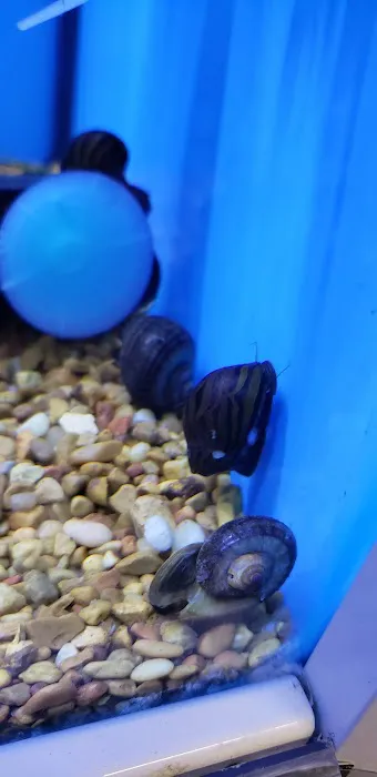 Petco 4