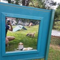 Quail Ridge Dog Park ico