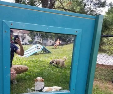 Quail Ridge Dog Park