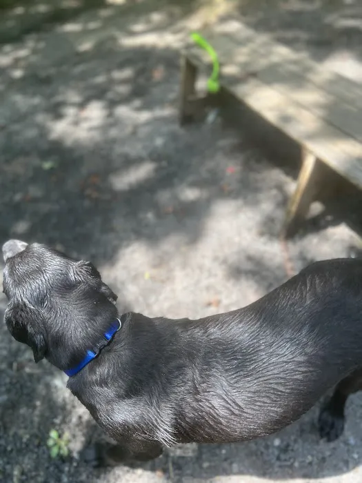 Rocky Top Dog Park (Membership req.) 1