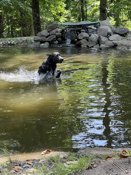 Rocky Top Dog Park (Membership req.) 7