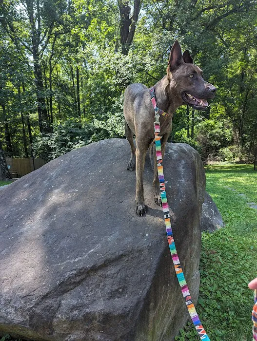 Rocky Top Dog Park (Membership req.) 10