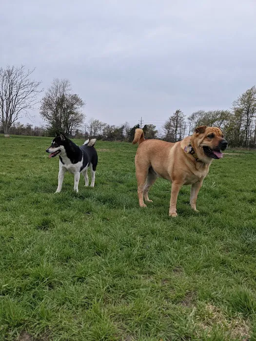 Wolf Hill Off-Leash Dog Park 9