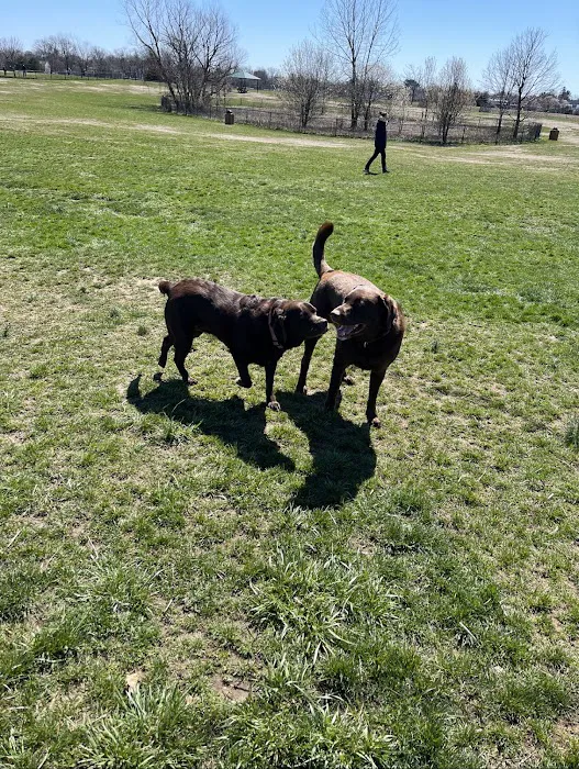 Wolf Hill Off-Leash Dog Park 7