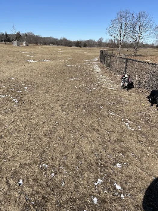 Wolf Hill Off-Leash Dog Park 2