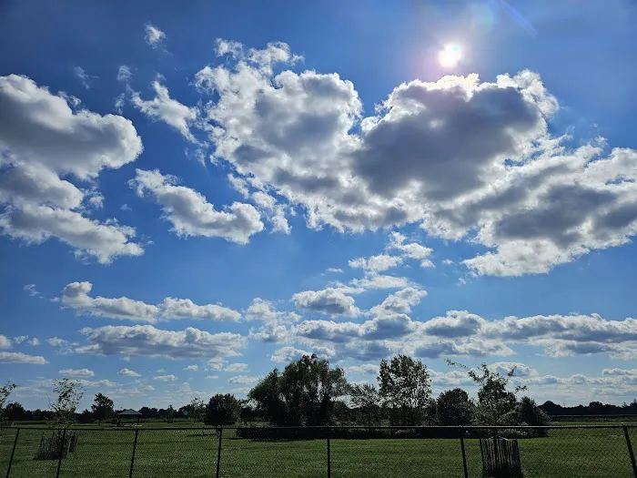 Wolf Hill Off-Leash Dog Park 1