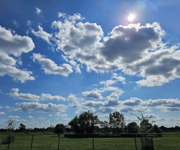 Wolf Hill Off-Leash Dog Park