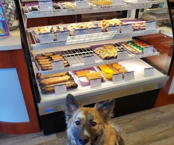 Three Dog Bakery