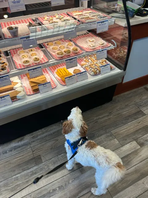 Three Dog Bakery 8