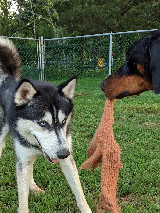 Wall Township Off Leash Dog Park 9