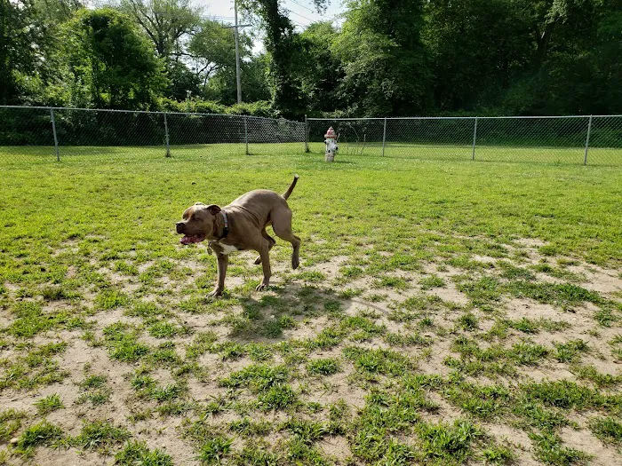 Wall Township Off Leash Dog Park 5