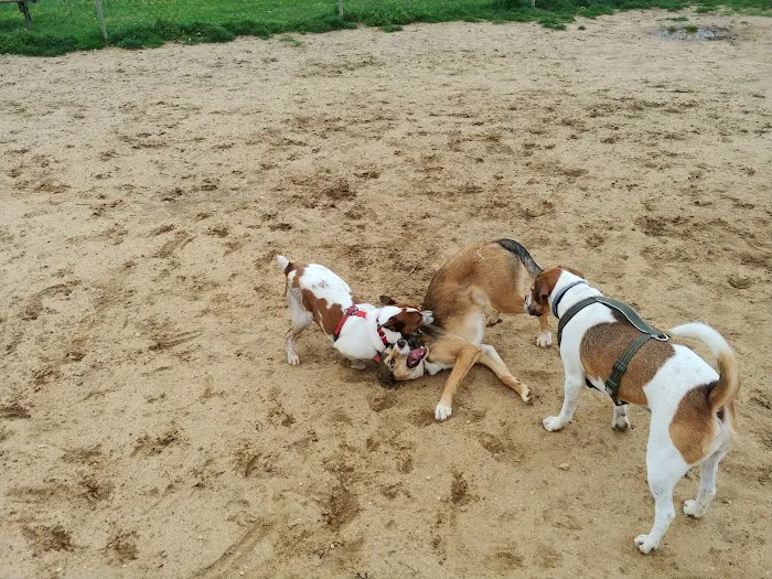 Wall Township Off Leash Dog Park 7