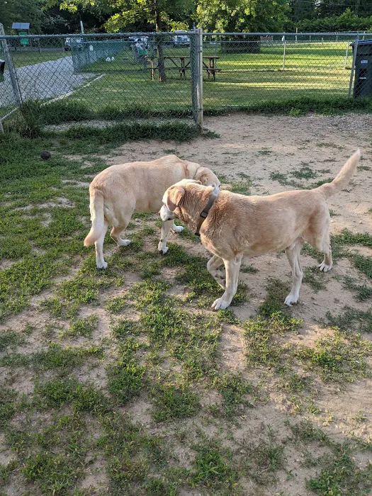 Wall Township Off Leash Dog Park 4