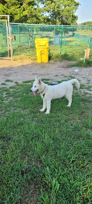 Jackson Dog Park 3