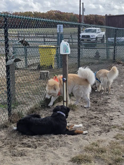 Jackson Dog Park 9