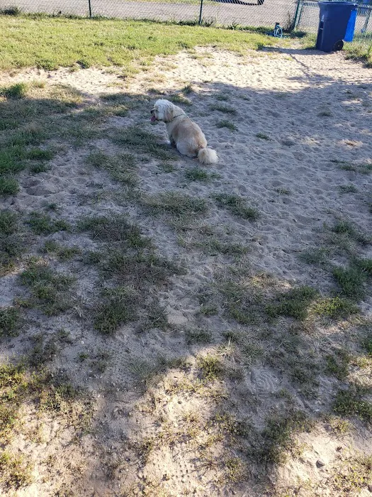 Jackson Dog Park 4