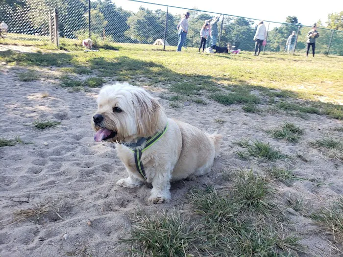 Jackson Dog Park 7