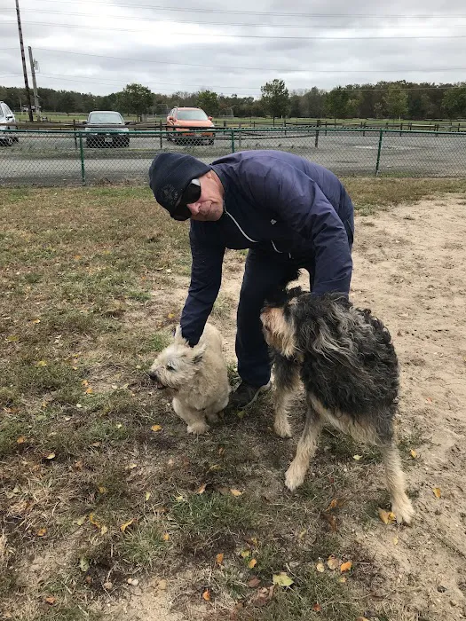 Jackson Dog Park 5