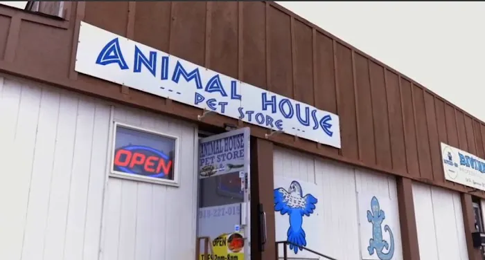 Animal House 6
