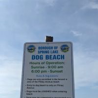 Spring Lake Dog Beach ico