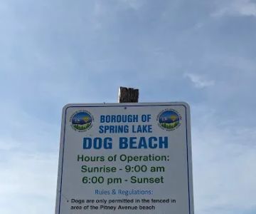 Spring Lake Dog Beach