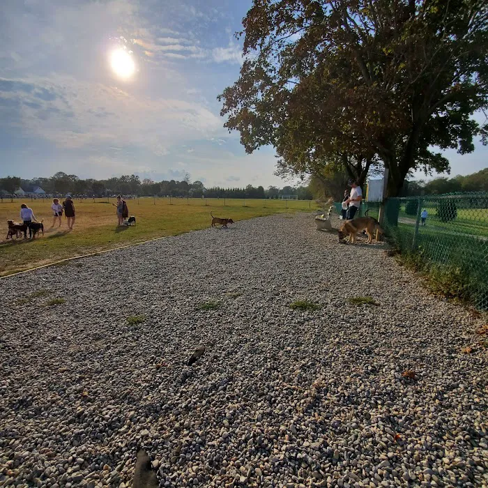 Orchard Park Dog Park 6