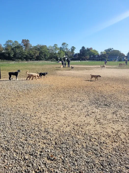 Orchard Park Dog Park 1