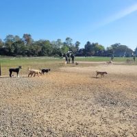 Orchard Park Dog Park ico