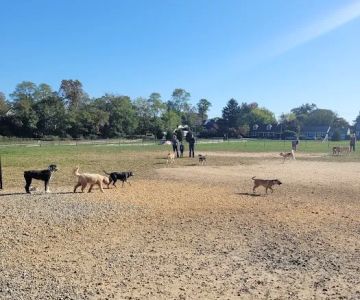 Orchard Park Dog Park