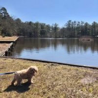 Ocean County Park Off-Leash Dog Run ico