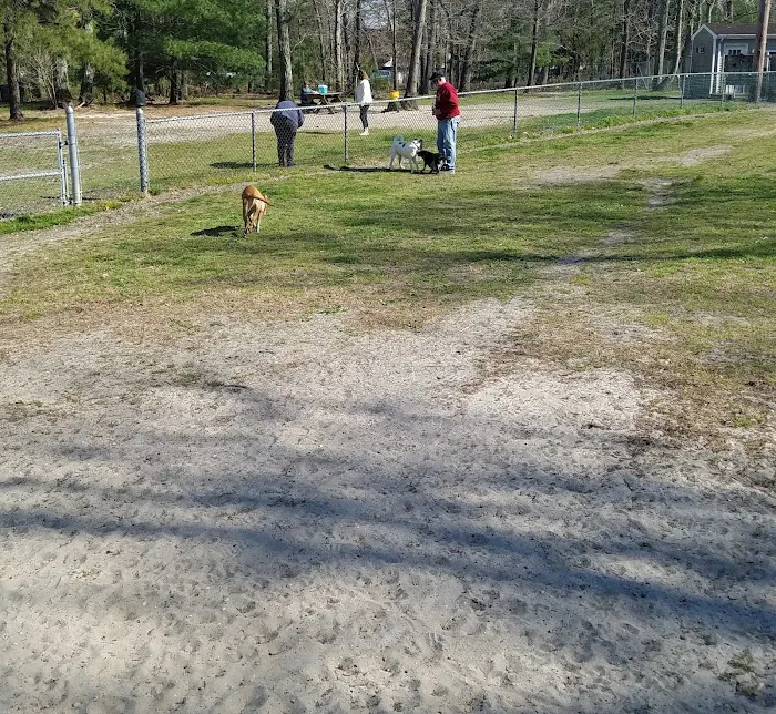 Ocean County Park Off-Leash Dog Run 8