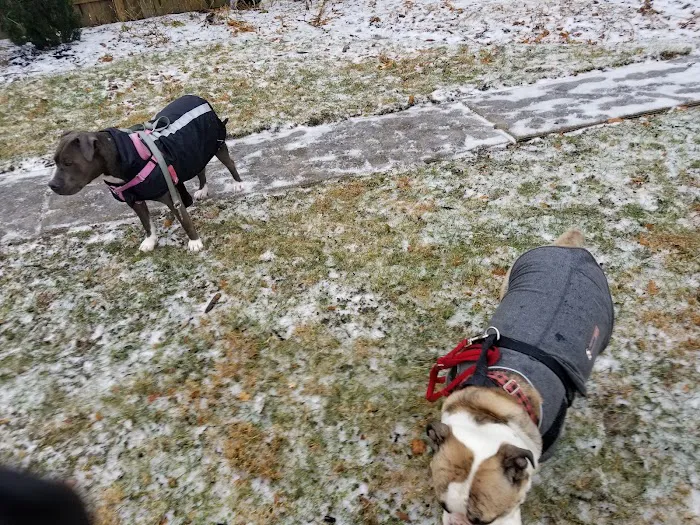 Raritan Dog Park 6