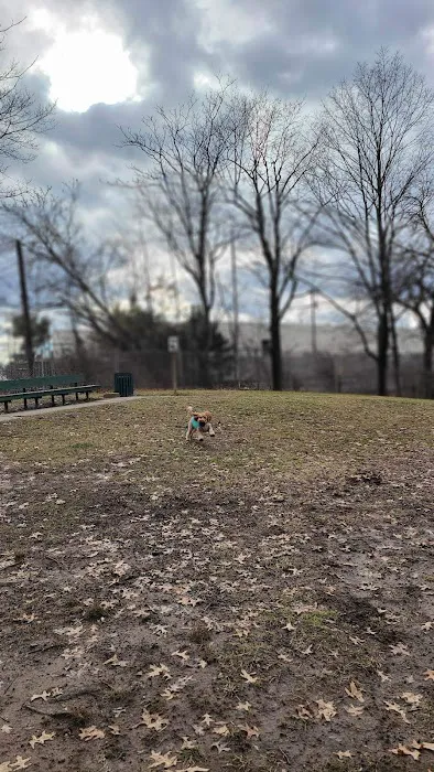 Raritan Dog Park 3