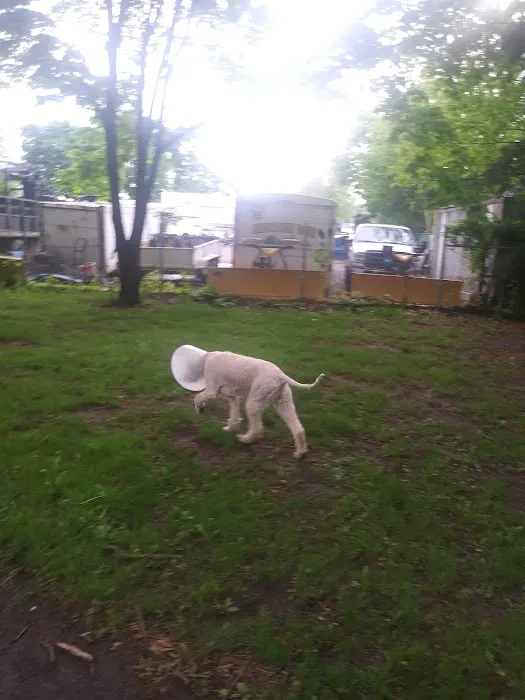 Raritan Dog Park 1