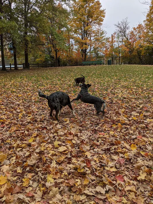 Raritan Dog Park 4