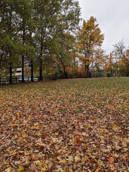 Raritan Dog Park 10