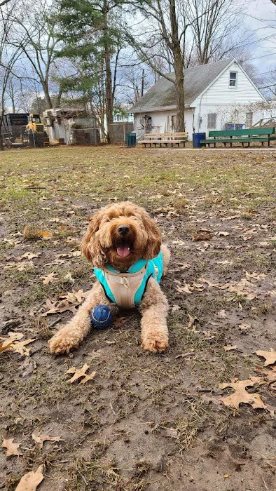 Raritan Dog Park 2
